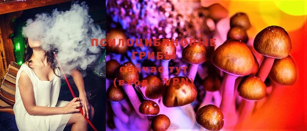 ГАЛЛЮЦИНОГЕННЫЕ ГРИБЫ Абдулино