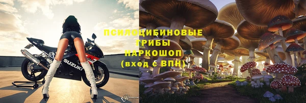 стаф Абаза