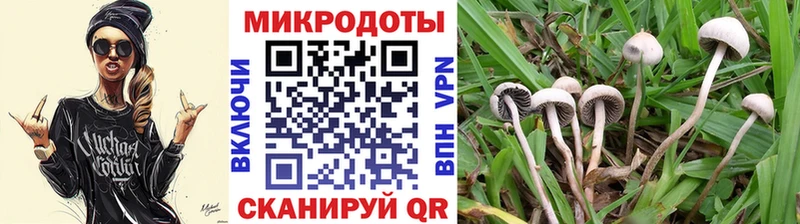 kraken маркетплейс  Хабаровск  Галлюциногенные грибы Magic Shrooms 